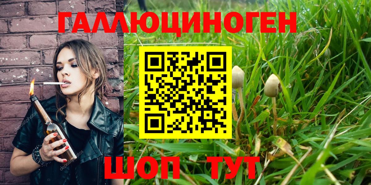 Галлюциногенные грибы Cubensis  Вход с VPN  наркотики  Новокубанск  Галлюциногенные грибы Psilocybine cubensis 